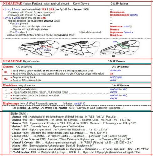 Réf. 343 794 : Nematinae inconnu